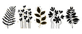 Fototapeta Lawenda - Set of leaves silhouette of beautiful plants, leaves, plant design with golden splash elements