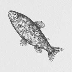 Sticker - Vintage furry fish sketch social ads template vector