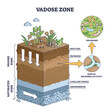 Vadose or unsaturated zone as geological earth layer division outline diagram. Labeled educational terrestrial subsurface structure explanation vector illustration. Capillary, recharge and root soil.