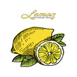 Lemon Fresh Organic Fruits