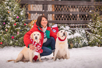 A woman plays with labradorsmi dogs near a decorated Christmas tree during a snowfall in winter in the courtyard of an apartment building.