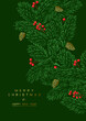 Christmas Poster - Illustration. Vector illustration of Christmas Background with branches of Christmas tree on the green.