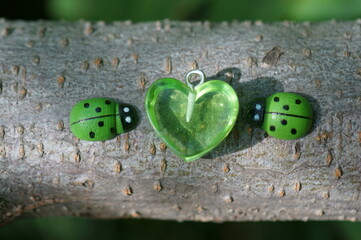 Poster - Two green ladybugs. There is a heart between them. Figures of insects.