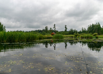 Wall Mural - monotonous landscape with a calm lake, cloudy and cloudy day, green reflections of trees and bushes in the water, a small pond