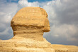 Sphinx profile on Giza plateau near Cairo in Egypt