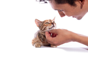 Man spoiling his beautiful cat, isolated on white background. Man and his tabby colored pet.