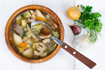 Wall Mural - Delicious homemade soup with wild mushrooms. Studio Photo.