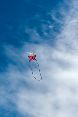 Wall Mural - colorful kites flying over the sky