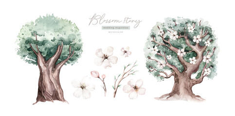 Watercolor Genealogical Family tree. Watercolor children's tree botanical season isolated illustration. olive, oak and cypress. Green forest ecology branch and leaves.