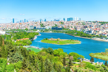 Wall Mural - Istanbul city panorama with Golden Horn bay and view to Istanbul city architecture