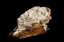 Macro Stone Mineral Petrified Wood On A Black Background