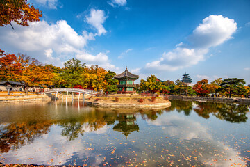 Wall Mural - autumn in the park at Gyeongbokgung palace, Seoul South Korea.