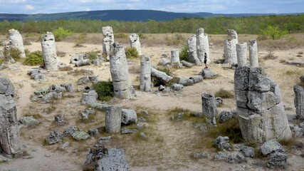 Wall Mural - Stony columns in Pobiti Kamani - natural phenomenon also known as Stone Forest in Bulgaria