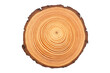 wood slice circle with concentric rings