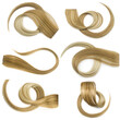 Set of different curls of hair of light color. Beautiful shiny blonde hair on white isolated background.