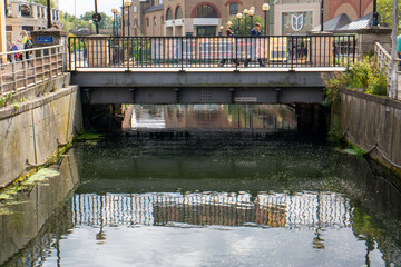 Canvas Print - River Chelmer