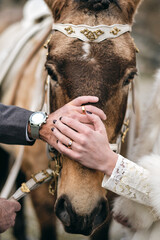 Canvas Print - Vertical shot of a married couple putting their hands on the horse