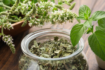 Wall Mural - glass jar of dried mint leaves. wooden bowl of blossom peppermint. mortar of fresh spearmint leaves.