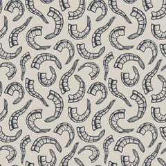 Poster - Vector shrimp seamless pattern, seafood background