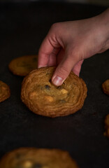 Canvas Print - Vertical closeup shot of a hand taking one of chocolate chips cookies from a black paper background