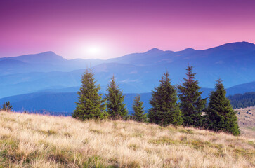 Canvas Print - mountain landscape