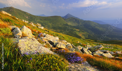 Fototapete - mountain landscape