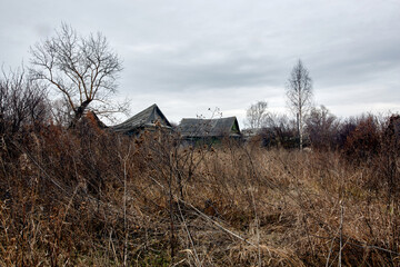 Wall Mural - Old abandoned wooden houses in a Russian village.