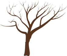 árbol Sin Hojas, árbol Seco. Vector Sin Fondo