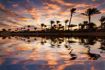 Wall Mural - Beautiful sunset on a sandy beach at the Red Sea. Egypt, Sharm el-Sheikh.