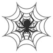 The spider sits in the center of his web. Vector illustration.