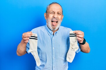 Sticker - Handsome senior man with beard holding clean andy dirty socks sticking tongue out happy with funny expression.