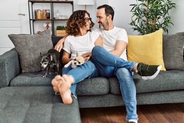 Wall Mural - Middle age hispanic couple smiling happy sitting on the sofa with dogs at home.