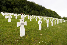 Cemetery With White Crosses For Soldiers Of The World War II Of The Ukrainian Division Of Galychyna.