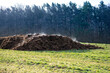 A pile of cow dung as a symbol of methane pollution of the atmosphere. The strongest greenhouse gas leading to climate change