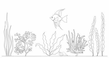 Wall Mural - fish and algae one line drawing isolated, vector