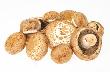 Canvas Print - Bunch of fresh brown cultivated champignon mushrooms isolated on white background. Studio Photo