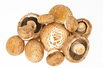 Canvas Print - Bunch of fresh brown cultivated champignon mushrooms isolated on white background. Studio Photo