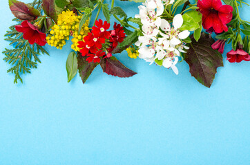 Wall Mural - Card, collage of leaves, bright flowers on blue background. Studio Photo