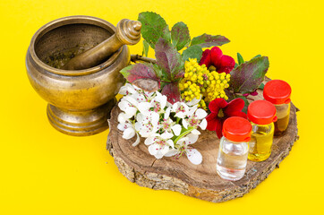 Canvas Print - Use of medicinal plants in alternative medicine. Studio Photo