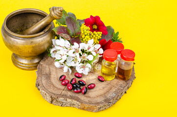 Canvas Print - Use of medicinal plants in alternative medicine. Studio Photo