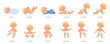© Frogella.stock - Baby growth stages, development process from newborn to toddler. Baby milestones timeline sitting, crawling, standing, walking vector illustration. Cheerful active infant in various poses