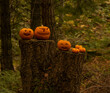 halloween  pumpkin