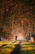 Ein Mann fährt im Herbst mit seinem Fahrrad durch den Park