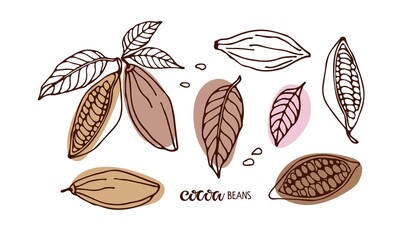 Cocoa set. Hand drawn sketch vector Cocoa beans, leaves sketch and Cocoa beans text isolated on white Organic product Doodle sketch for cafe, shop, menu. Plant parts. For label, logo, emblem, symbol.