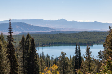 Wall Mural - Scenic Autumn Landscape in Grand Teton National Park Wyoming