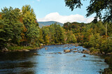 Fototapeta Na ścianę - Autumn foliage in Northern New England