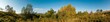 © mikhailgrytsiv - Panorama of autumn tree on a large lawn.