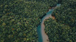 aerial view of the colombian pacific river in the middle of the jungle