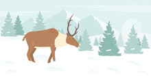 Deer In Winter Snow Mountain Landscape Vector Illustration. Cartoon Snowy Christmas Forest Scene With Cute Reindeer Walking Among Pine Trees And Snowdrifts. Frozen Scenery For Greeting Card, Poster