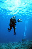 Fototapeta Do akwarium -  A Hawaiian Tropical Scuba Diver Woman with a Video Camera Ascending After a Successful Dive